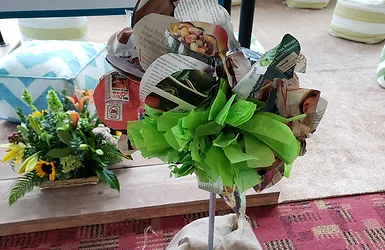 Plants