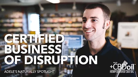 December thumbnail certified business disruption provided content video