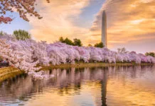 Washington DC Capital 