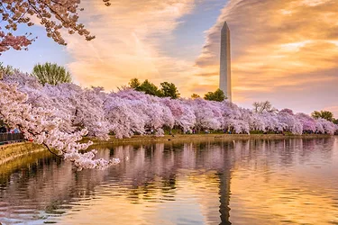 Washington dc 696x464