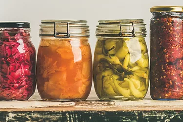 Fermentation