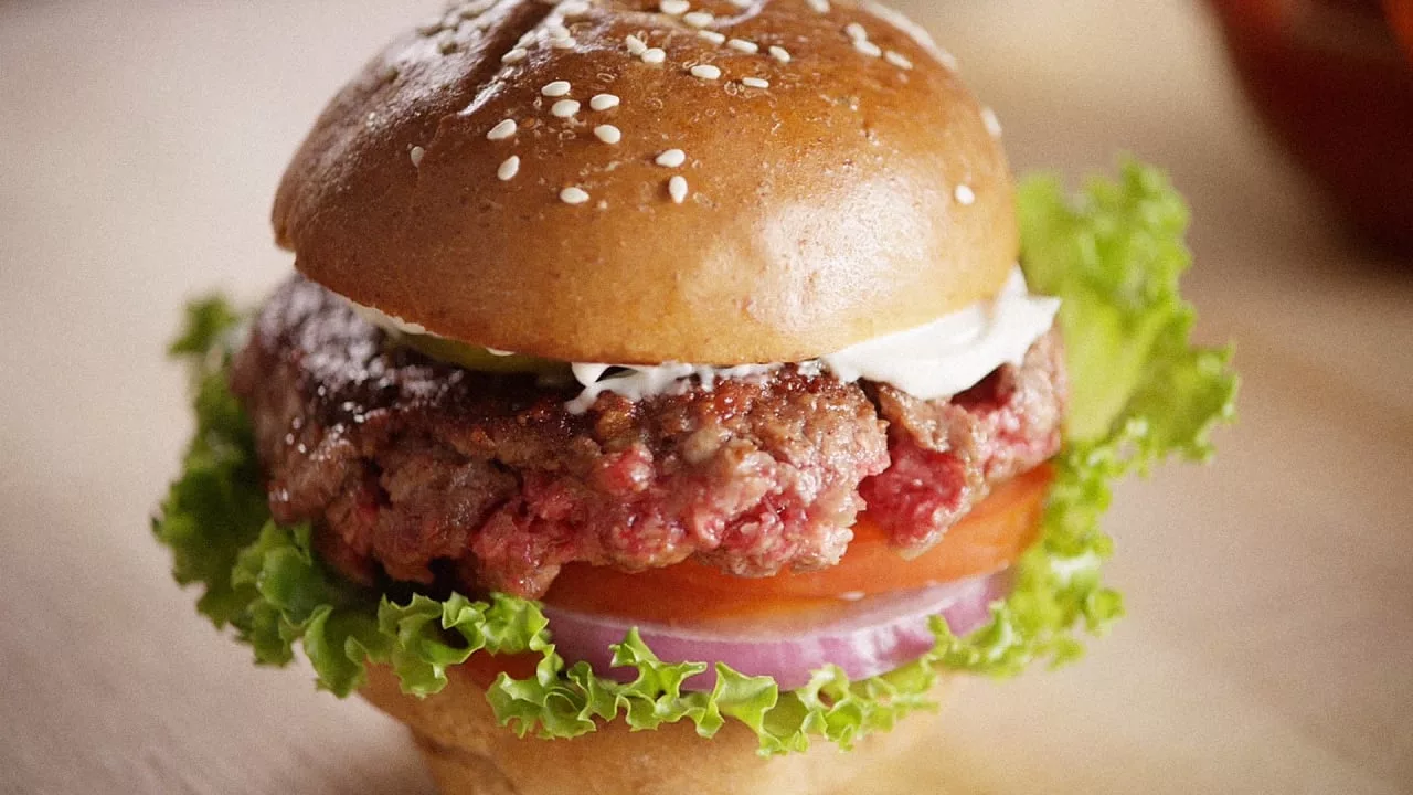 Plant based burger
