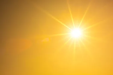 Sunlight