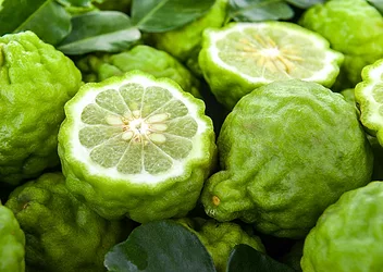 Bergamot