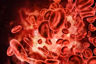 Blood cells