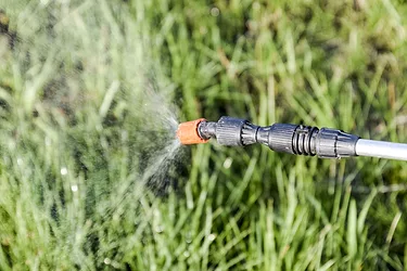 Glyphosate