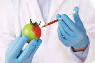 Non gmo