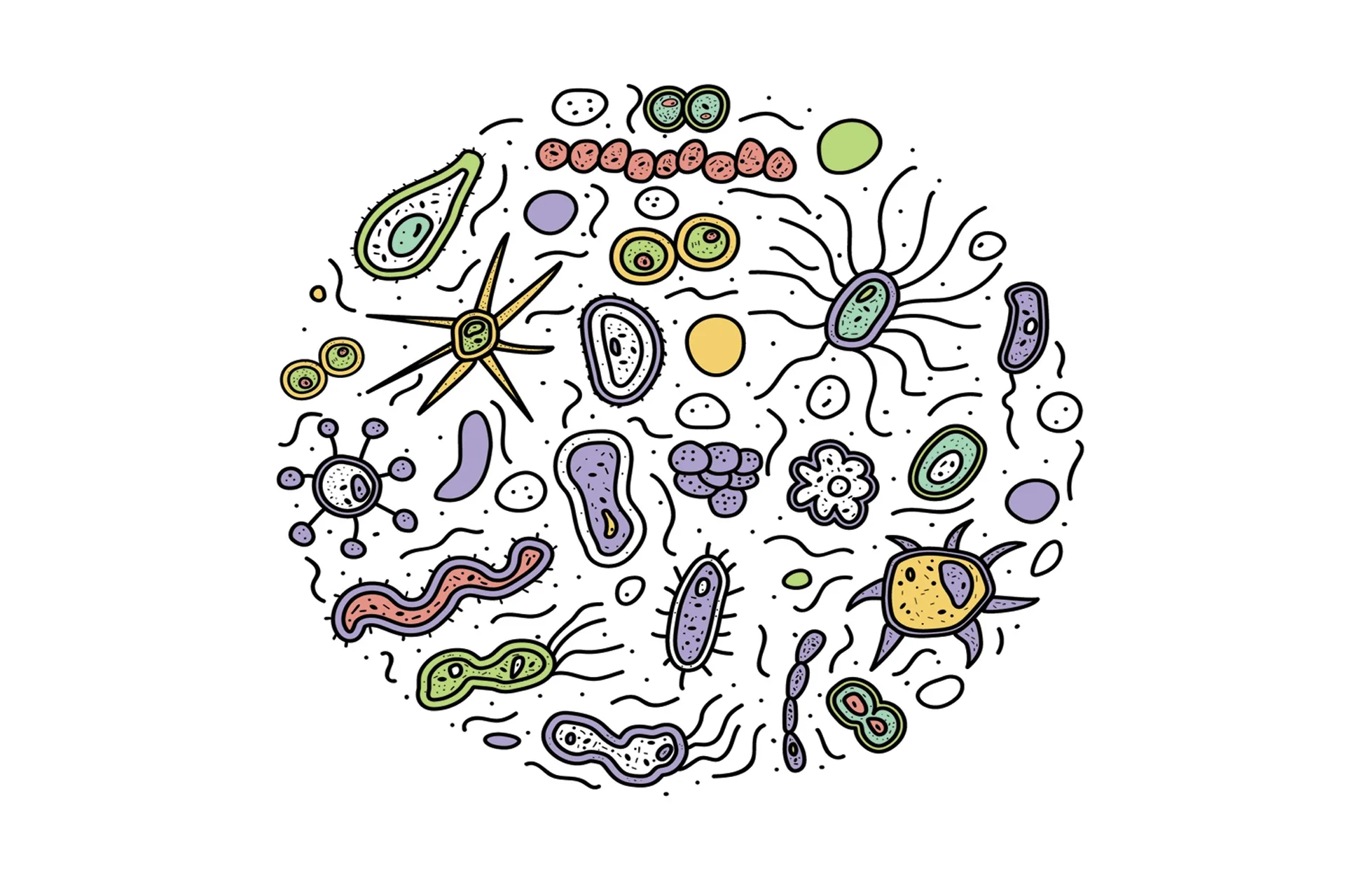 Probiotics