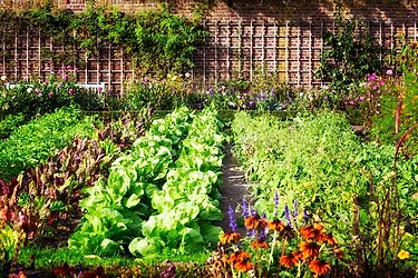 Sustainable eco friendly garden 1