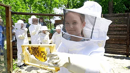 Wkf bees photo