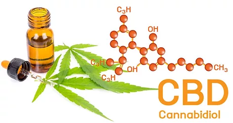 Cbd 1 768x407