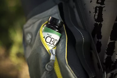 Cbd cv sciences