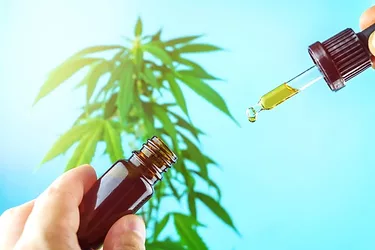 Cbd hemp oil dropper