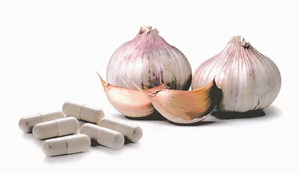 Kyolic garlic and capsules 1