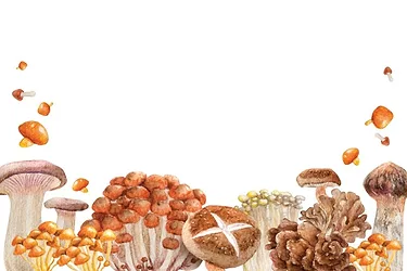 Mushrooms