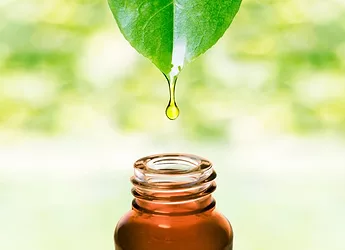 Plant extract