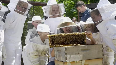 Wholekids givebeesachance