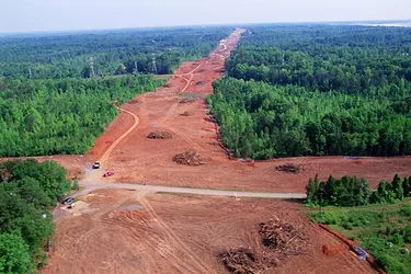 Deforestation climate change
