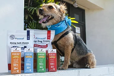 Innovet pet
