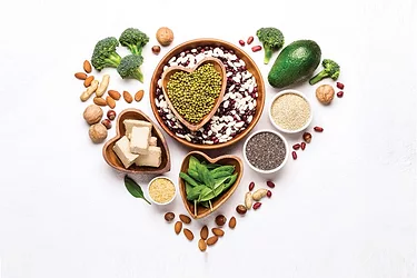 Protein