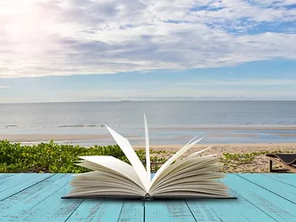 Book reads good for nov dec vacation time