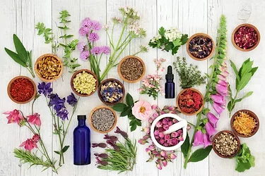 Botanicals herbs