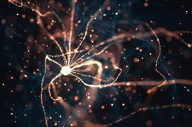 Cognitive health brain neurons
