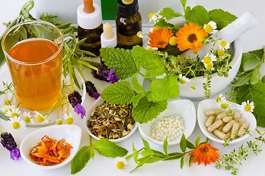 Herb teas and leaves botanical