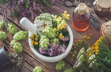 Medicinal tincture herbal botanical