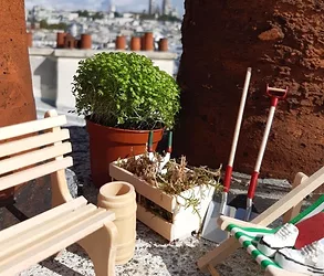 Lycored pothole garden e1569597729450