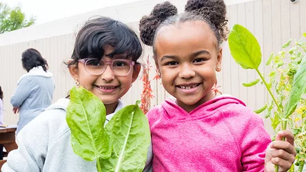 Wholekidsfoundation growinghealthykids 2019