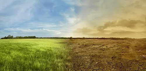 Climate change 