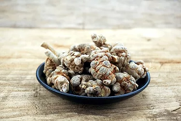 Notoginseng 1
