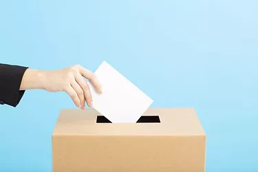 Voting