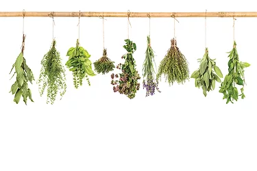 Herbs