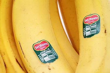 Del monte bananas