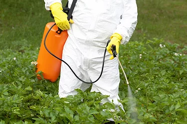 Legal tips