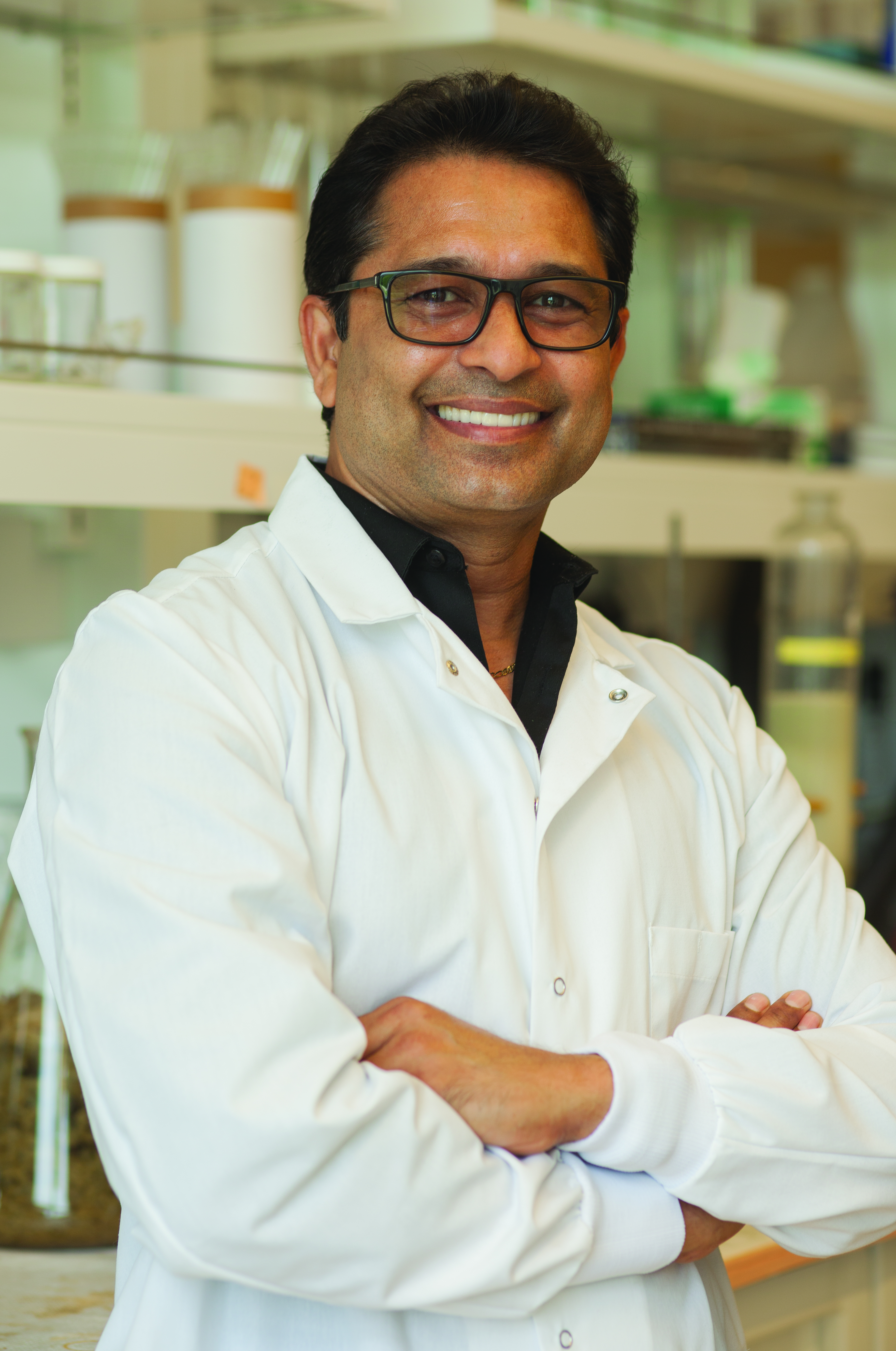 Navindra P. Seeram, Ph.D., Professor &amp; Chairperson, Departme