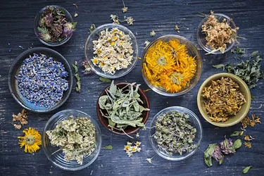 Herbs leaves botanicals flowers 696x464