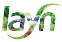 Layn logo 218x150