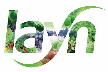Layn logo
