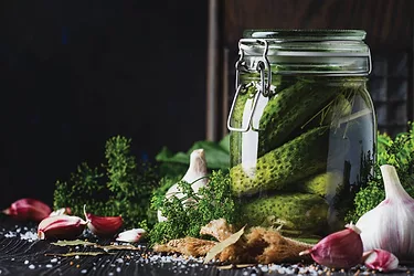 Fermented foods