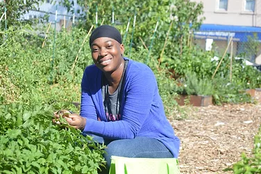 Wholecitiesfoundation newarksciencesustainabilityinc