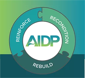 Aidp graphic@3x