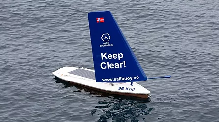 Sail buoy 3