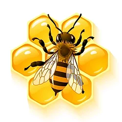 Bee and comb