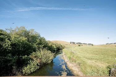 Organicvalley.jrp .13 scaled