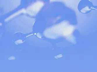 Mr gif 2 1