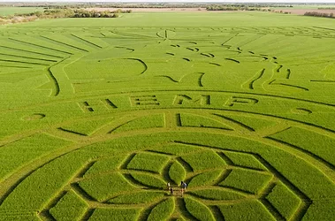 Trusttheearth farmfieldart 4 scaled