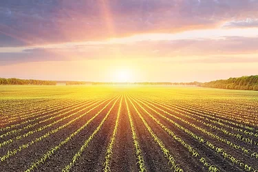 Regen agric